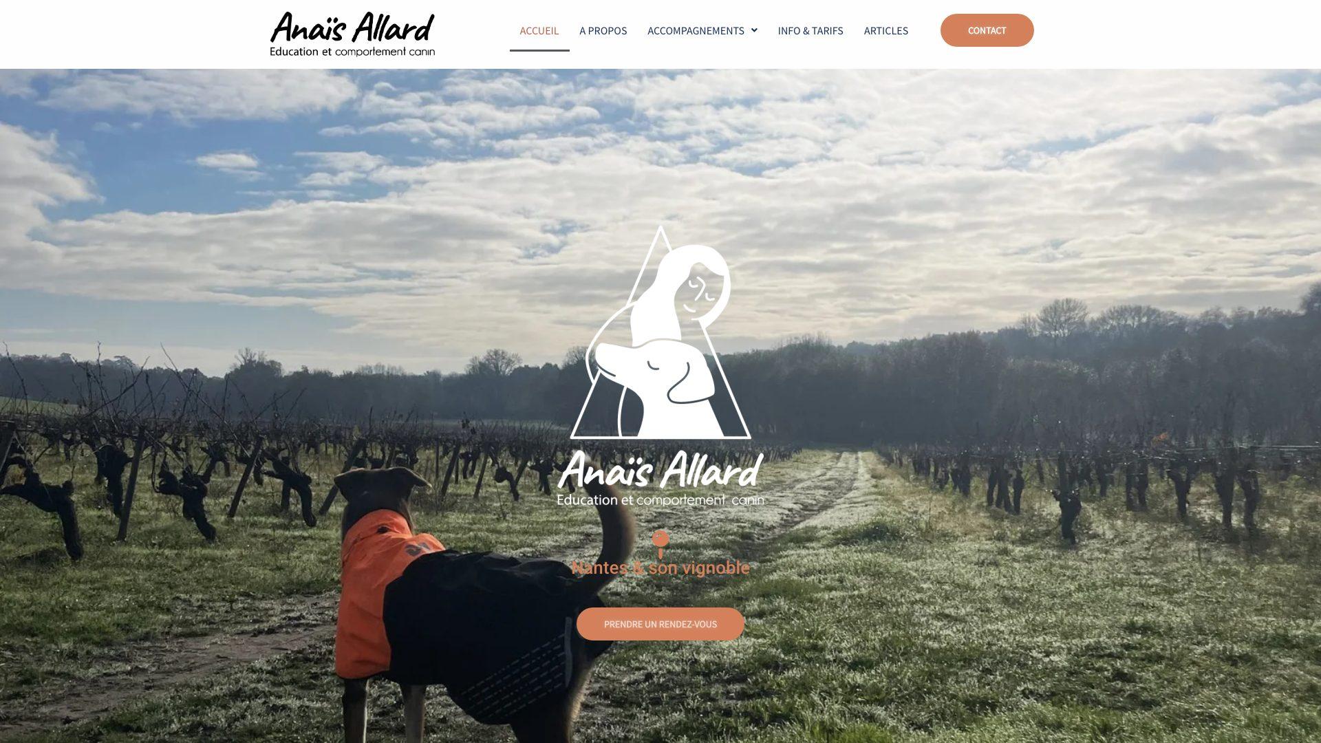 Capture d’écran de la page d’accueil du site d’Anaïs Allard