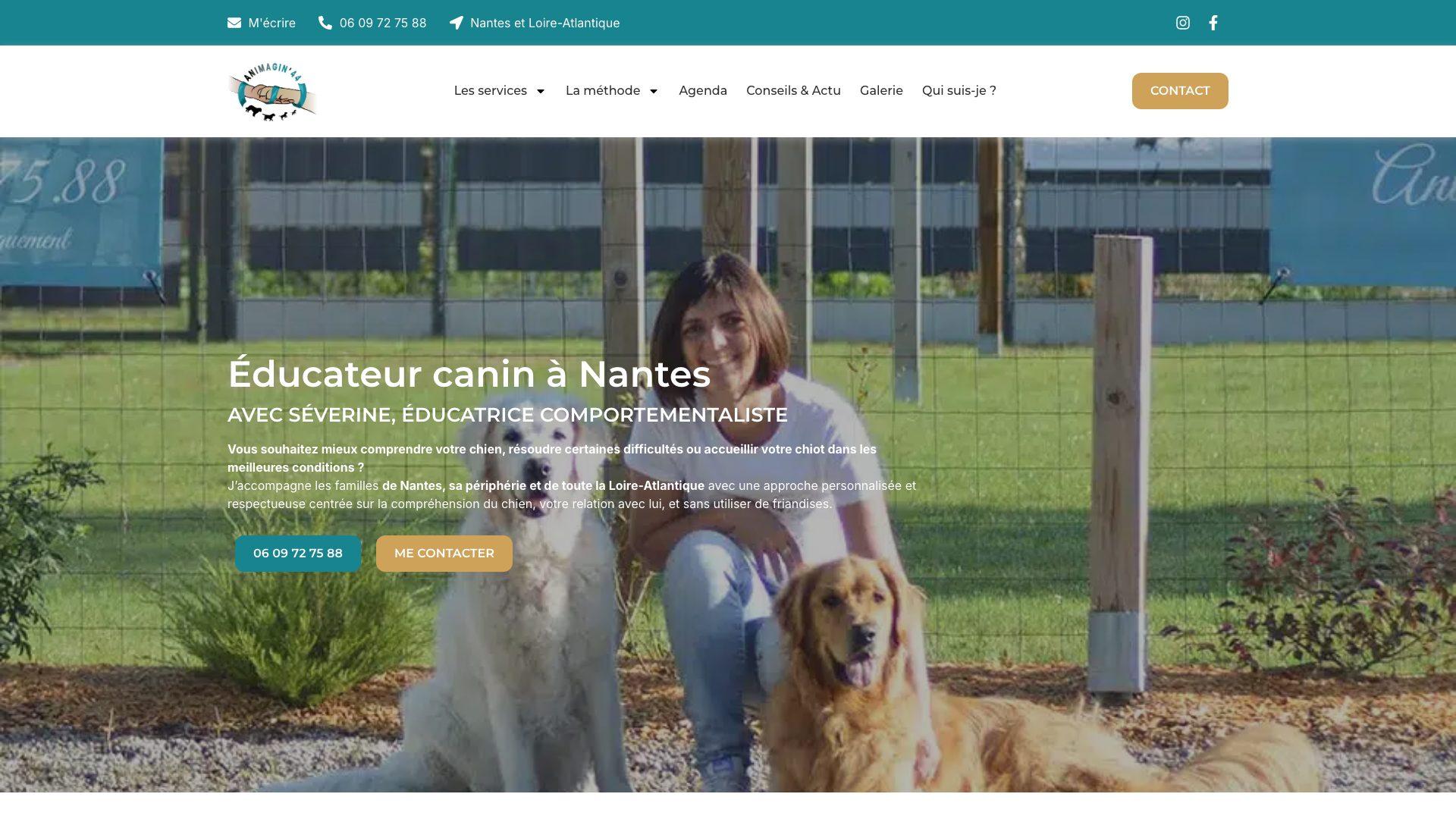 Capture d’écran de la page d’accueil du site Animagin’44