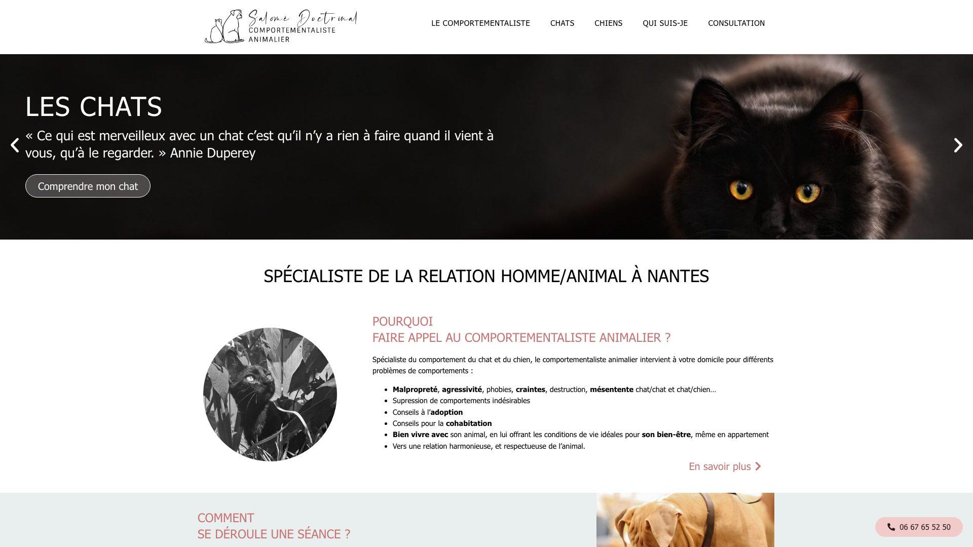 Capture d’écran de la page d’accueil du site Comprendre mon animal