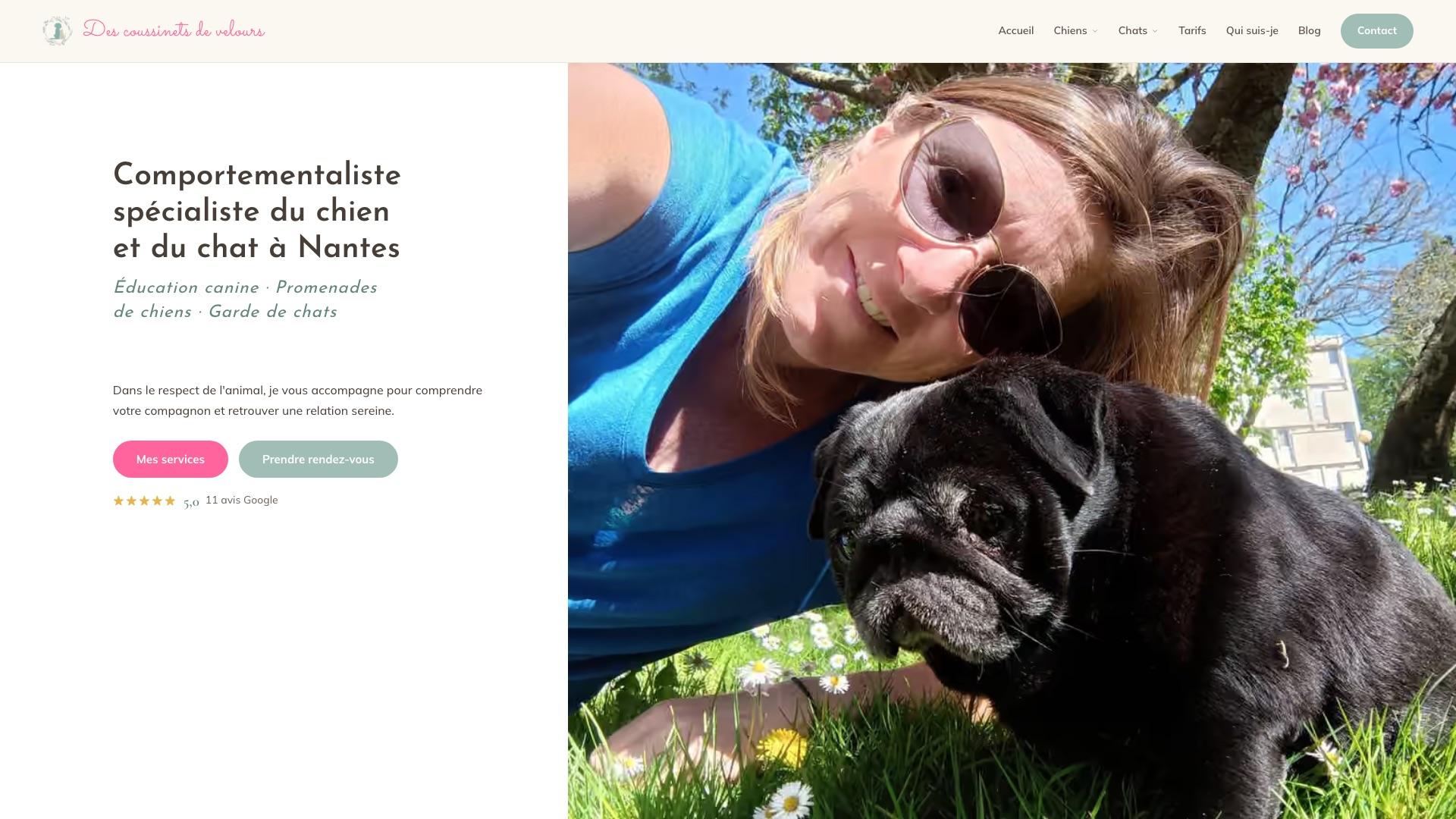 Capture d’écran de la page d’accueil du site Des coussinets de velours