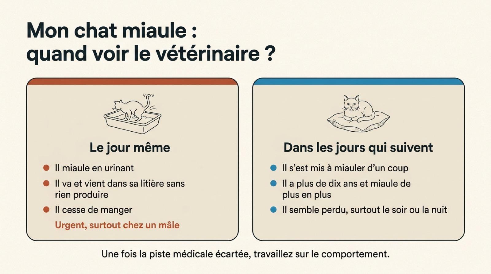 Signes qui demandent de voir le vétérinaire le jour même, et signes qui demandent un rendez-vous dans les jours qui suivent, chez un chat qui miaule