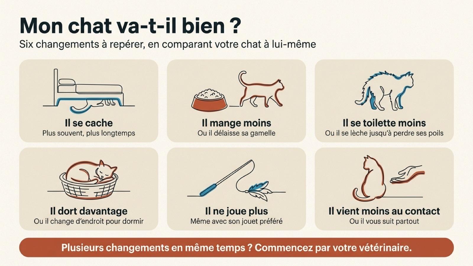 Six changements à repérer chez un chat qui ne va pas bien : il se cache, mange moins, se toilette moins, dort davantage, ne joue plus, vient moins au contact