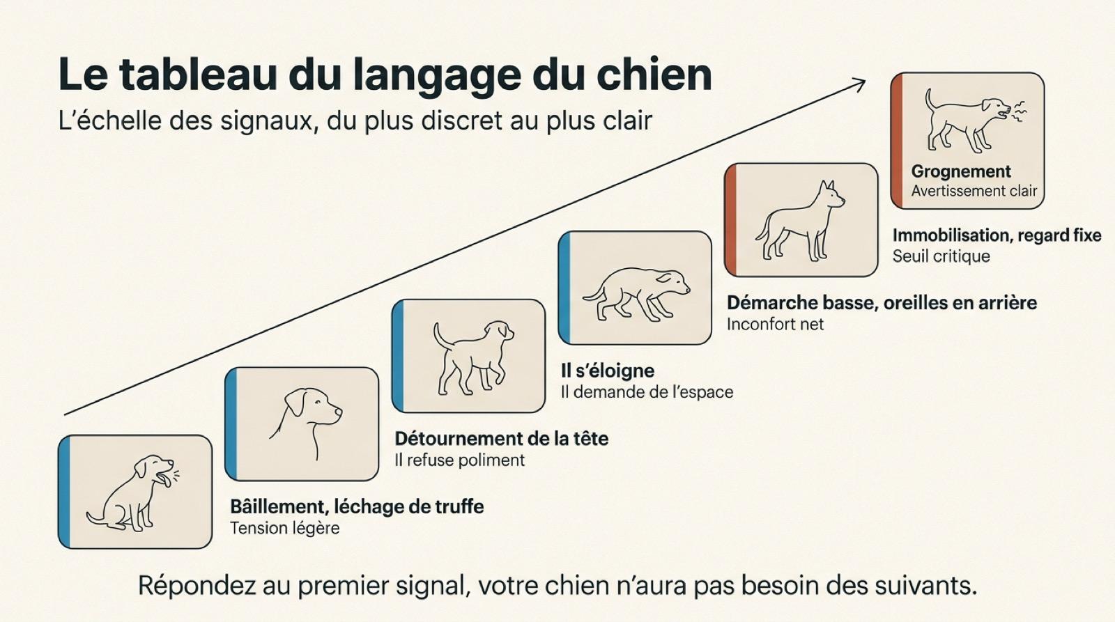 Tableau du langage du chien, des signaux d’apaisement au grognement le long de l’échelle de la communication