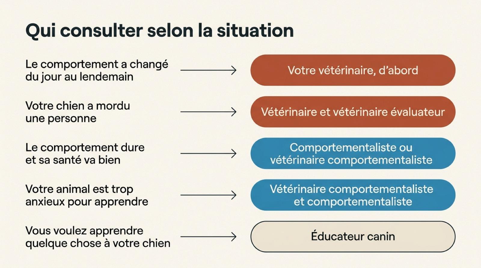 Guide pour choisir entre vétérinaire, vétérinaire comportementaliste, comportementaliste et éducateur canin selon la situation