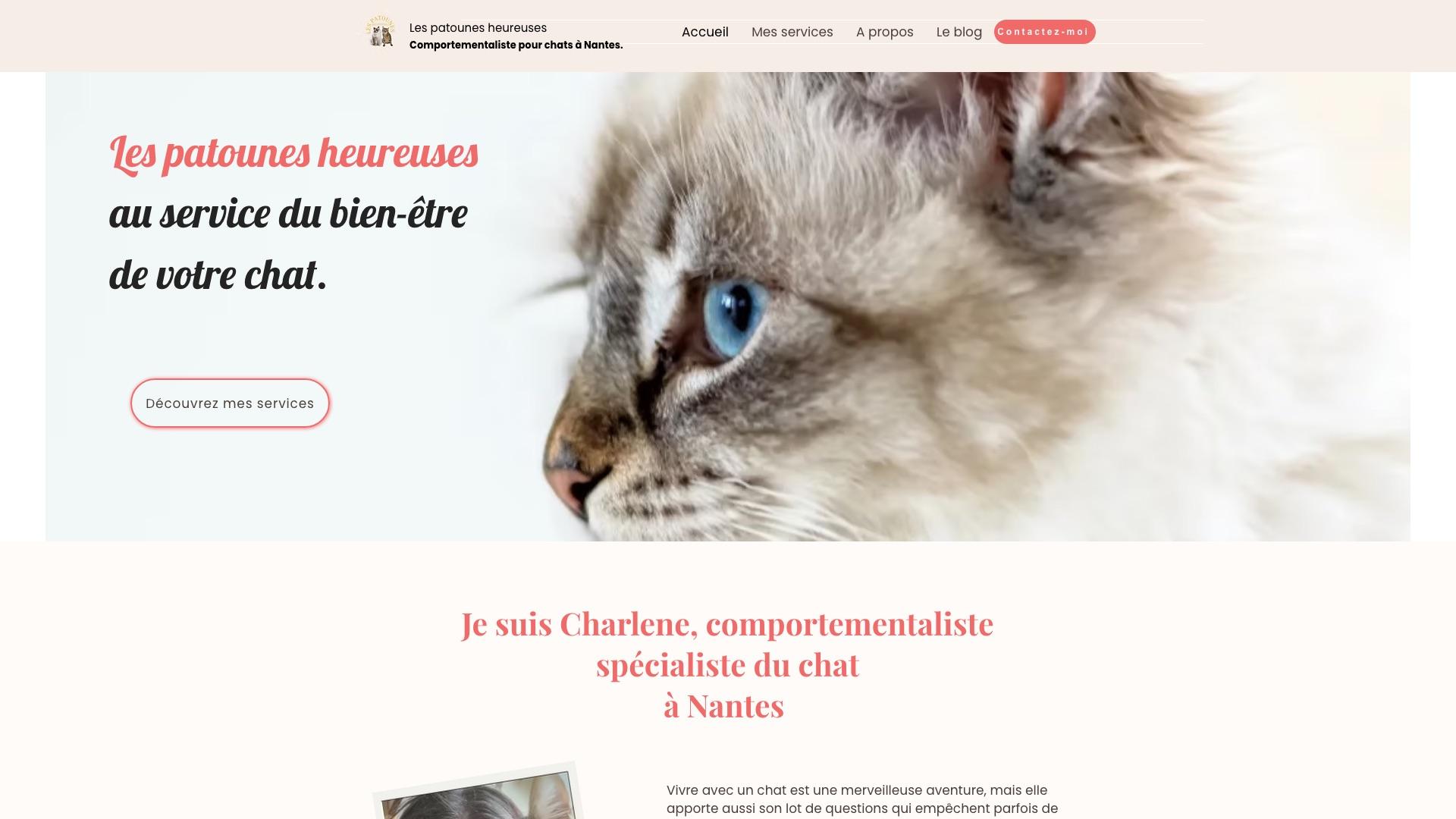 Capture d’écran de la page d’accueil du site Les Patounes Heureuses