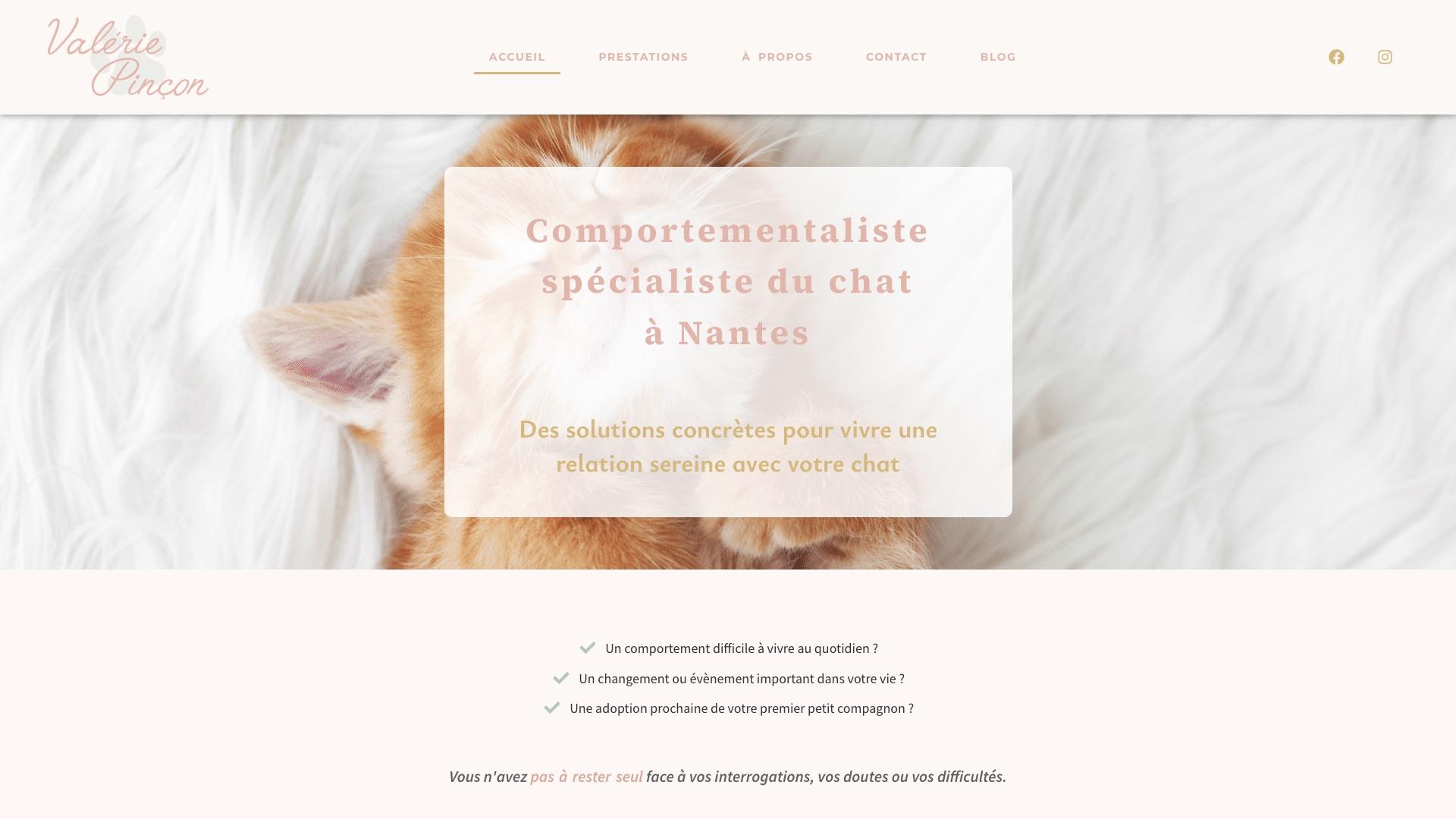 Capture d’écran de la page d’accueil du site de Valérie Pinçon