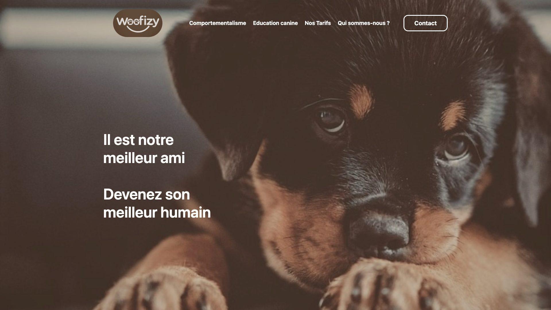 Capture d’écran de la page d’accueil du site Woofizy