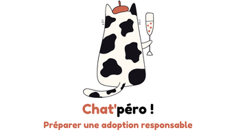 Chat'péro adoption.png